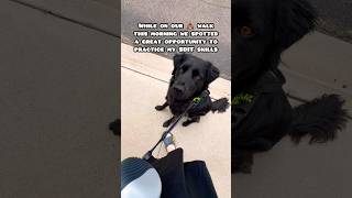 Training For The Inevitable That All Service Dog Handlers Face