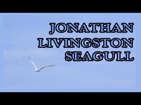 Jonathan Livingston Seagull By Richard Bach (Audiobook)