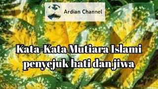Kata-Kata Mutiara Islami Penyejuk Hati Dan Jiwa Katabijakislami