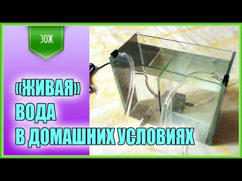 P в домашних условиях P в домашних условиях