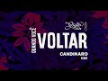 Grito Acústico Quando você voltar (CANDINARO Remix)(1FOX)