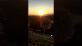 Akşam Üstü Güneşin Verdiği Güzel Manzara