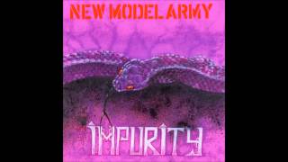 Watch New Model Army Before I Get Old video