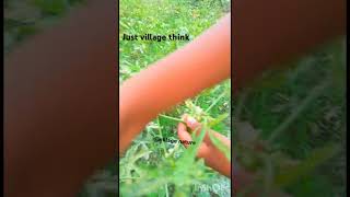 Just Village Think