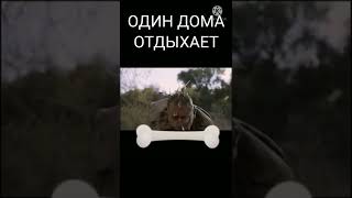 Movie. Yankees In Africa.- Фильм. Янки В Африке 😂😂😂😂😂😂😂