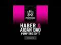 Haber & Adain Dao - Pump This Shit (Chroophtic Frecklee Remix)