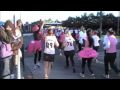 Fiver's Flamingos