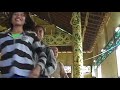 Upacara Potong Padi Tiong Bu U Sungai Mahakan East Kalimantan images Upacara Potong Padi Tiong Bu U Sungai Mahakan East Kalimantan
