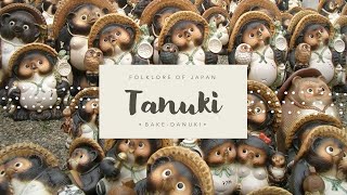 Folklore Of Japan Bake-Danuki Tanuki