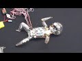 Animatronics Showreel 2011