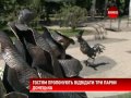 Видео Донецьк розробив 20 туристичних маршрутів