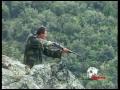Wild Boar Hunting in the Pyrenees. Trailer Reivax Films.