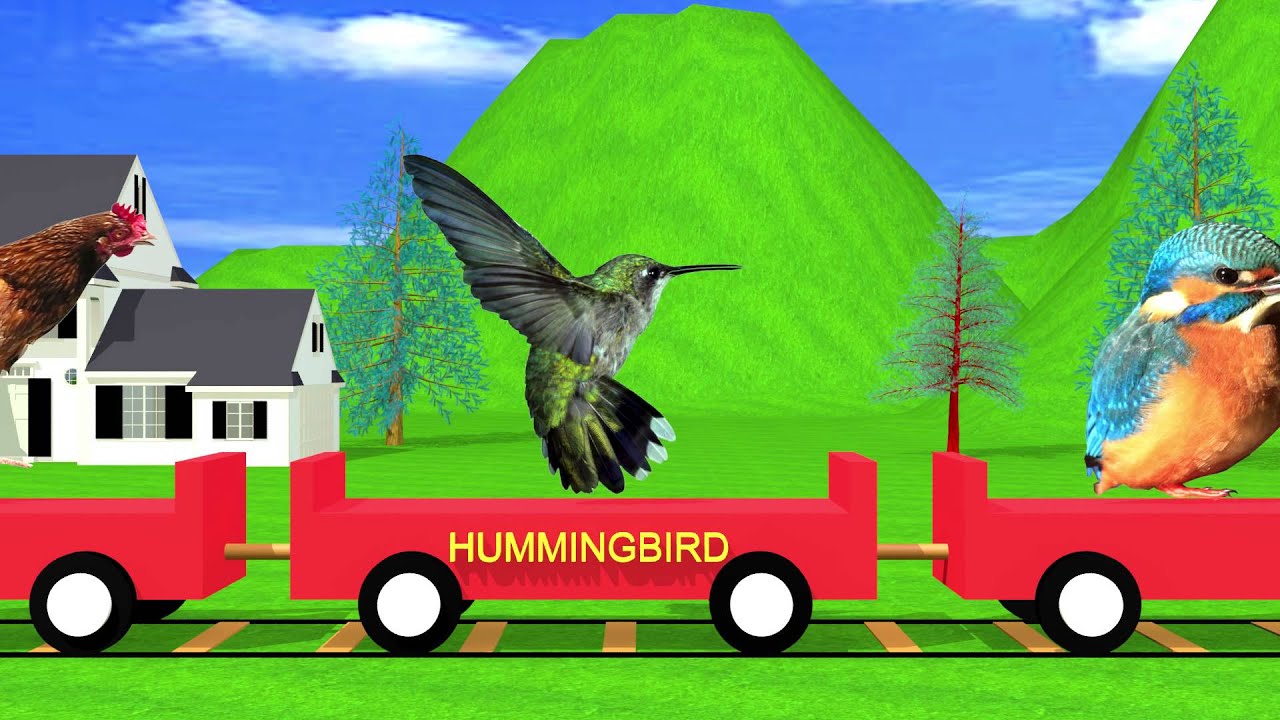 Bird Train Easy Learning for Kids HD Animation YouTube