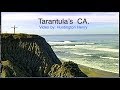 "Tarantula's/Cracks" CA. 4-7 foot wave faces surfing..