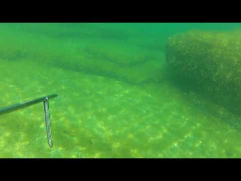 рыбалка на каспийский море бесплатно рыбалка на каспийский море бесплатно