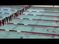 Barracudas
