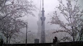 霧の東京 美空ひばり Misora Hibari Kiri No Tokyo 霧の東京 美空ひばり Misora Hibari Kiri No Tokyo