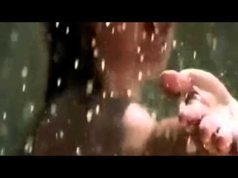 (...Vidya & Vandana Iyer♫ Hum Hain Is Pal Yahan)