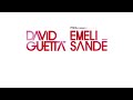 David Guetta - What I Did For Love (VINAI remix) TEASER ft Emeli Sandé