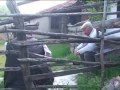 POSTACI NEVZAT VAY BASIMA GELENLER FULL VERSİYON - Sinema Yorum