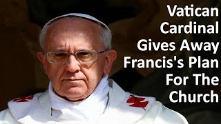 Vatican Cardinals Gives Away Francis's Plan For The Church