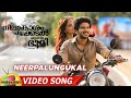 NPCB Movie Full Songs - Neerpalungukal Song - Neelakasham Pachakadal Chuvanna Bhoomi