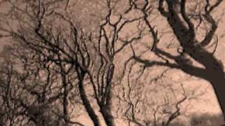 Watch Cocteau Twins Blind Dumb Deaf video