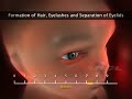 parturition