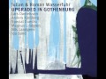 Julian & Roman Wasserfuhr Song For E Julian & Roman Wasserfuhr Song For E