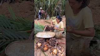 Nipa Palm Fruit Best Sweetened Salads