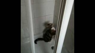 Cute Wet