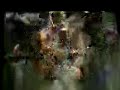 Cobus Avenged Sevenfold Afterlife Drum Cover images Cobus Avenged Sevenfold Afterlife Drum Cover