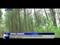 Video sepeda gunung Indonesia