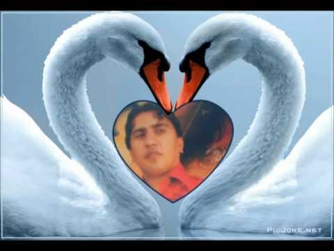 Mangal Shawqi And Sitara Younas Dokhtare Gul Andaz 2012
