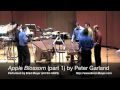 "Apple Blossom" (part 1) by Peter Garland - Performed by Brad Meyer - http://www.Brad-Meyer.com
