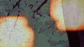 Watch Trisomie 21 Night Fly video