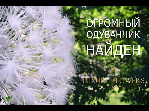 Как сделать большой одуванчик из бумаги своими руками 32
