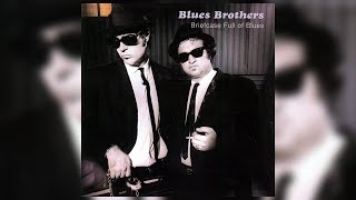 Watch Blues Brothers I Dont Know video