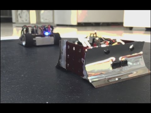 Robots sumo, el robot polilla y otros inventos