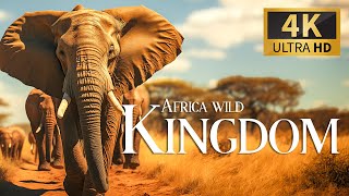 Africa Wild Kindom 4K 🐾 Magnificent Animals With Relaxing Piano Music Deep Focus