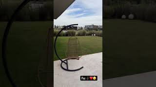 dhpp2aXPYMc Video Image