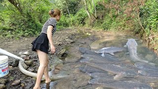 Fishing - Using Pumps, Pumping Water Outside The Natural Lake, Catch A Lot Of Fish - Survival Skills