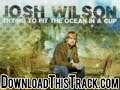 josh wilson - Savior, Please - Trying To Fit The Ocean In A