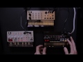 korg