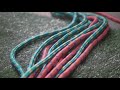 Cactus Video preview