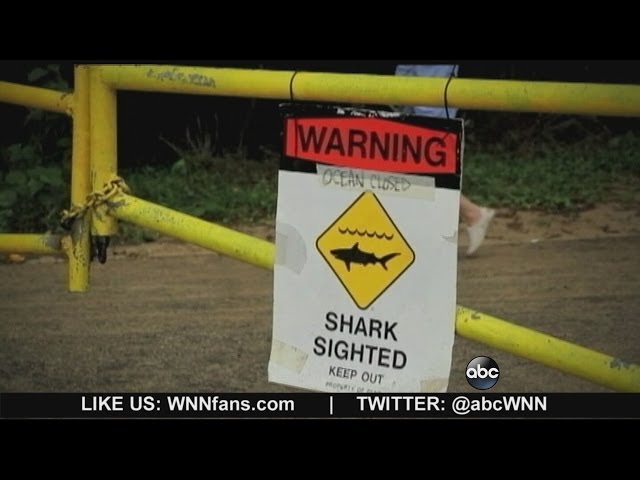 Shark Attack Off Maui Coast Kills Man