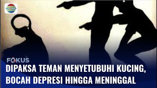 Bocah Laki-Laki Dipaksa Temannya Berhubungan Badan Dengan Seekor Kucing, Meninggal Fokus
