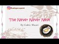 The Never Never Nest story in Tamil|