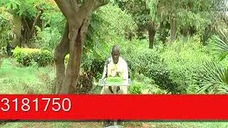 Sen Wer Gi Yaram 609 Les Risques Ociés Au Diabète
