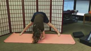 How Do I Stretch My Back Safely? Forward Fold Chiropractic Ag Yoga Stretch
